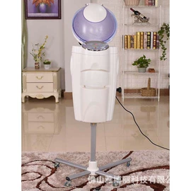 其他美发产品;其他美容仪器;焗油帽