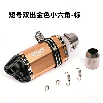 Exhaust pipe: modified small hexagon - short-double-gold-body-small-hexagon-laser