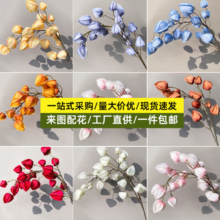 �¿���\�� ��ĭľ�޹���c���滨�Ҿ��b��Wins�W�t�����F��