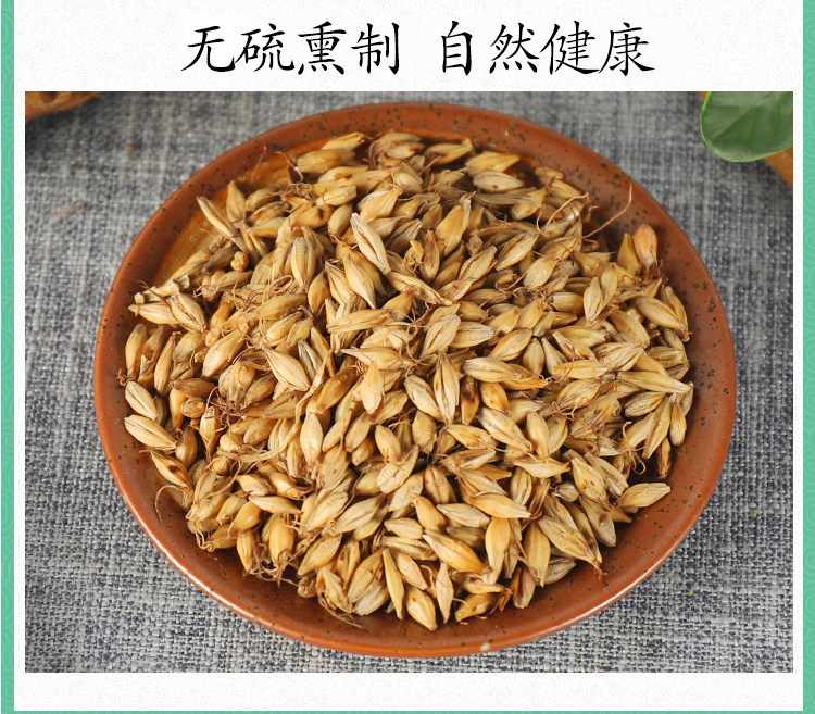 Dried Fried Malt Sprouted Barley Mai Ya 500g Traditional Herbal Tea for Digestive Support quality and texture