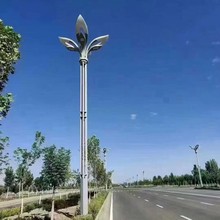 玉兰灯大型庭院景观灯6/7/8米9火市政道路广场照明高杆中华灯路灯