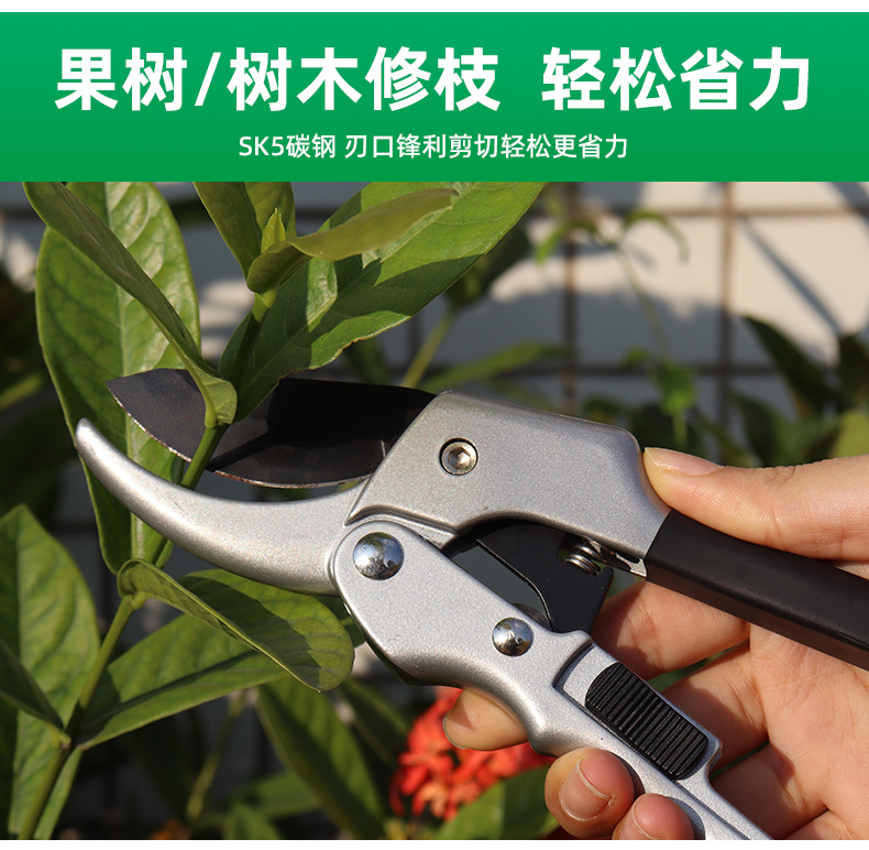 SXJ0009详情页-1688_04.jpg
