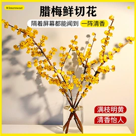 盆栽;其他园林资材;栽培基质