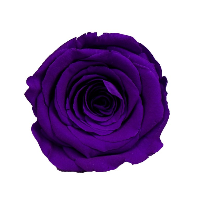 4-5cm 8 Flores, grado B DIY flores eternas, rosas eternas, Yunnan Kunming al por mayor, flores preservadas