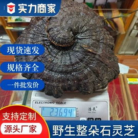 参类滋补品;灵芝;鹿产品