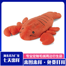 Դ�^���S���lë�q���ƤƤ�rë����؈����żſʽ��ż�������N��