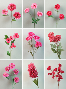 õ�tɫ����c���Ļ�ˇ�b����üٻ���Y���T����������