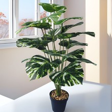 ����Gֲ�����~���Կ͏d�ٻ��[�������辰���ϻ���ֲ���������b�