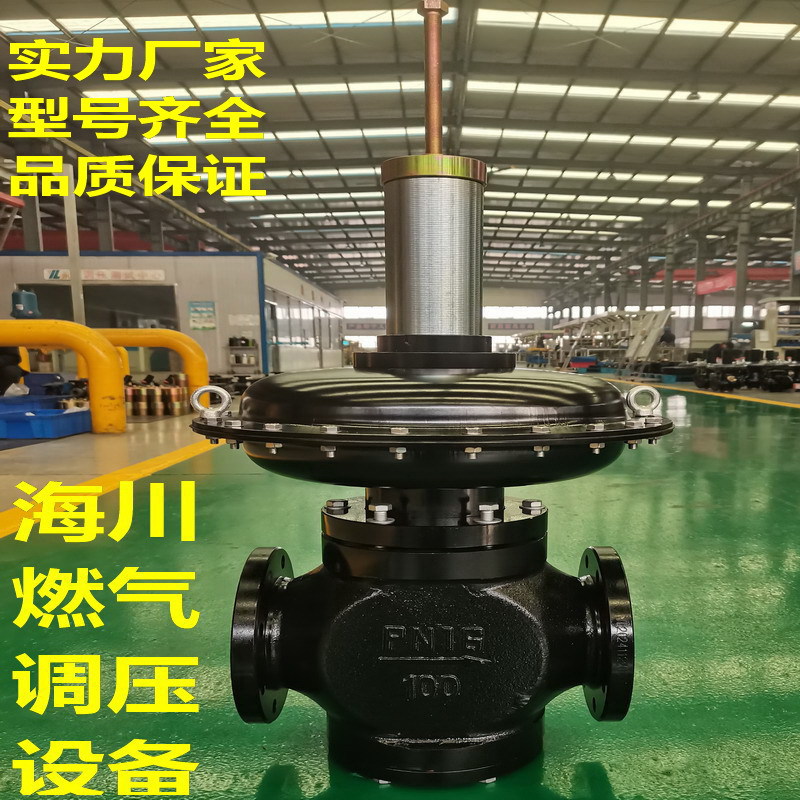 河北RTZ-100K燃气减压阀 调压器 天然气调压箱