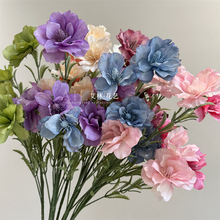 ��Ʒ5�^�yɏ��c���滨Ī�λ��@����5�^ˮ�ɻ��Ƶ��Y���b���