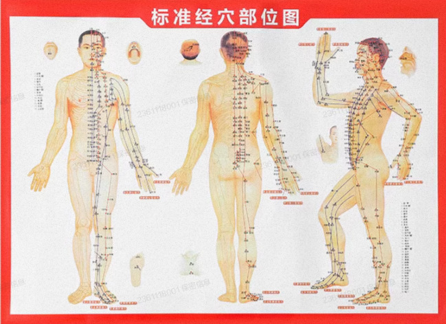 Mapa de puntos de acupuntura-1