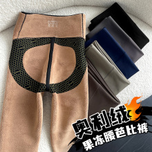 913#鲨鱼裤加绒女秋冬加厚塑形显瘦冬季保暖打底裤外穿芭比裤批发
