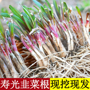 �F�ھ²˸���t���ϸ����r�ļ����ԷN����С�~�ѷN�＾���~�N����