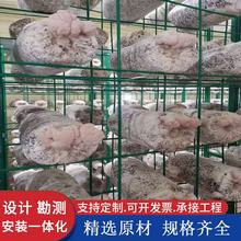 温室大棚钢丝焊接香菇架出菇架金针菇培育网格网架培菌房发菌架