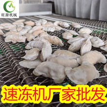 水晶虾饺隧道速冻价格   芝麻丸 披萨速冻机生产线 旺源单冻机