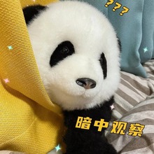 熊猫工厂 萌兰花花七仔仿真熊猫玩偶毛绒玩具生日情人节礼物公仔