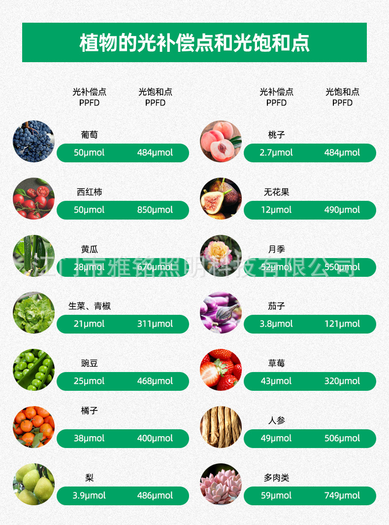 详情_06