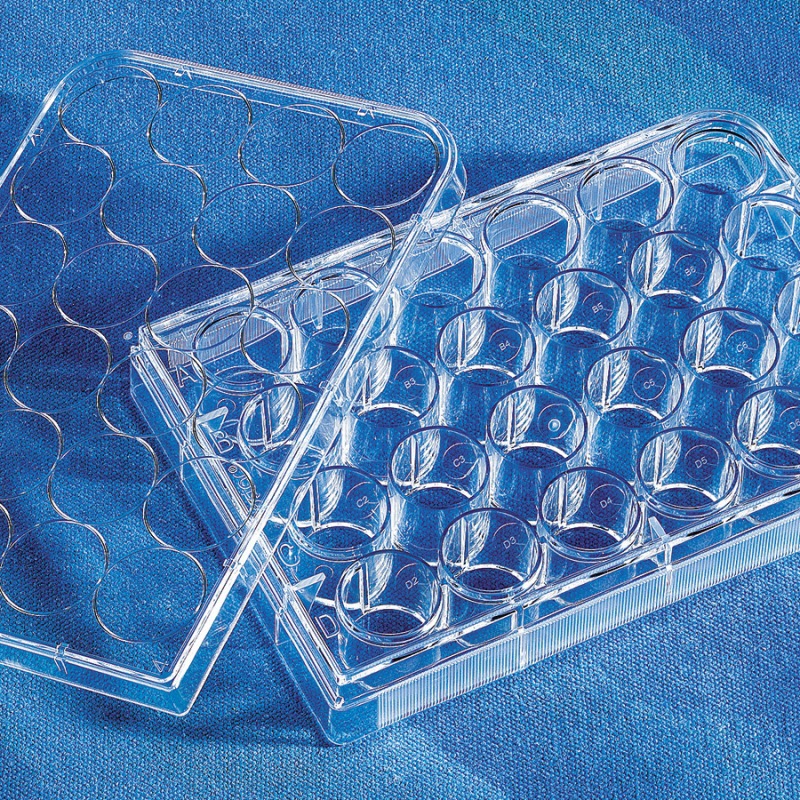 康宁Corning3524 24孔无色标准细胞培养板TC表面独立包装带盖灭菌