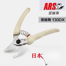 �ձ��M�ڐ����z��֦������˹����@ˇ��@�ּ������������