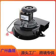 0131M00002P 0131M00002PSP �t�����L늙CB4059001��FB-RFB276