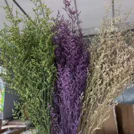 永生花;干花;鲜花花艺制品