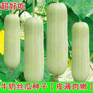 ţ�̰׽z�ϷN������߮a�z�ϷN�Ӷ̰���������ͥԺ�����߲˷N��