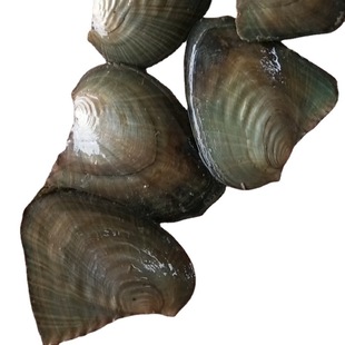 ���Ƿ��������Bֳ���r��С��5��10���׺�����ˮ����ˮ�|���rؐ��