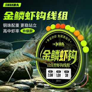 ������[�r�h���M�p�h���r���rС���r�_���rץ�r��r���ó�Ʒ