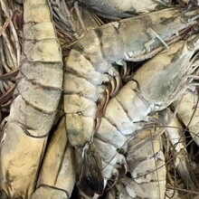 ����ڻ��r���r�ϻ��r���r�߹��r������r�ك����r�Ƙ�����