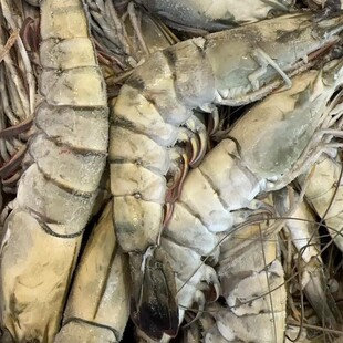 ����ڻ��r���r�ϻ��r���r�߹��r������r�ك����r�Ƙ�����