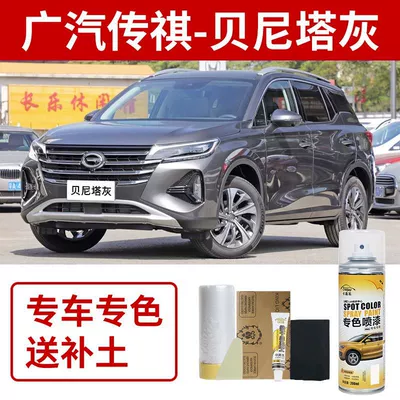 Gac Trumpchi Gs4 Gs8 Car Avtomobil boya qələmləri - gac-trumpchi-benita-grey