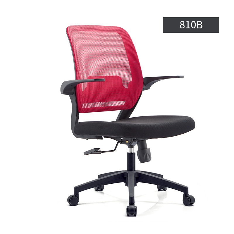 810B