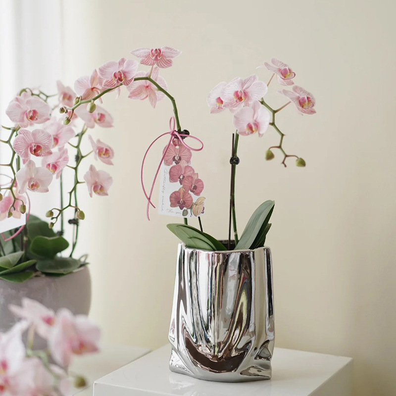 Silver Vase High-End Light Luxury Electroplated Ceramic Vase Phalaenopsis Creative Paper Bag Decoration Vase Wholesale