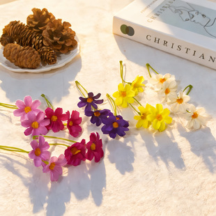 ���滨С�r�����m�ռٻ��ֹ�DIY�zӰ����������������S�����l