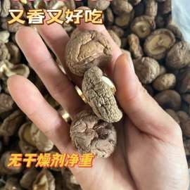 干香菇新货农家香菇干货2500克商用黄焖鸡小香菇5斤剪根冬菇