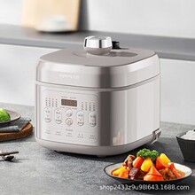 ����Y-50H60��ѹ����ѹ����304�����һ��˫��5��������֭����