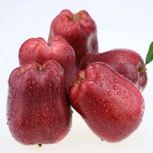 【现货】甘肃天水花牛苹果糖心红蛇粉面苹果一件代发