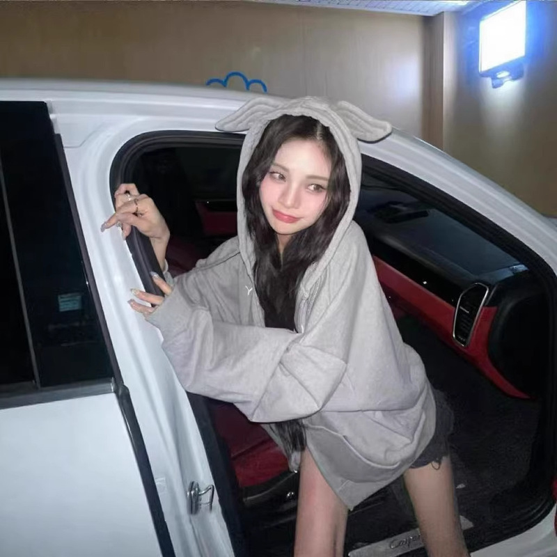 Korean Niche Brand Daohoon's Same Style Cute Wing Embroidery Logo Hooded Zip-Up Sweatshirt Jacket Can Be Paired Together