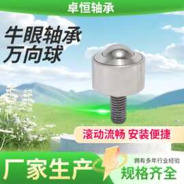 直筒万向球轴承KSM12-FL  SP-60圆柱直筒牛眼滚珠重型