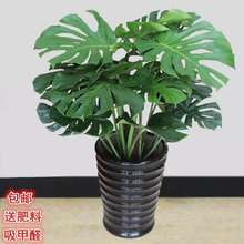 �·��؂�������ˮ�B���B����ֲ�������҃ȾGֲ�辰�S���l���S���l