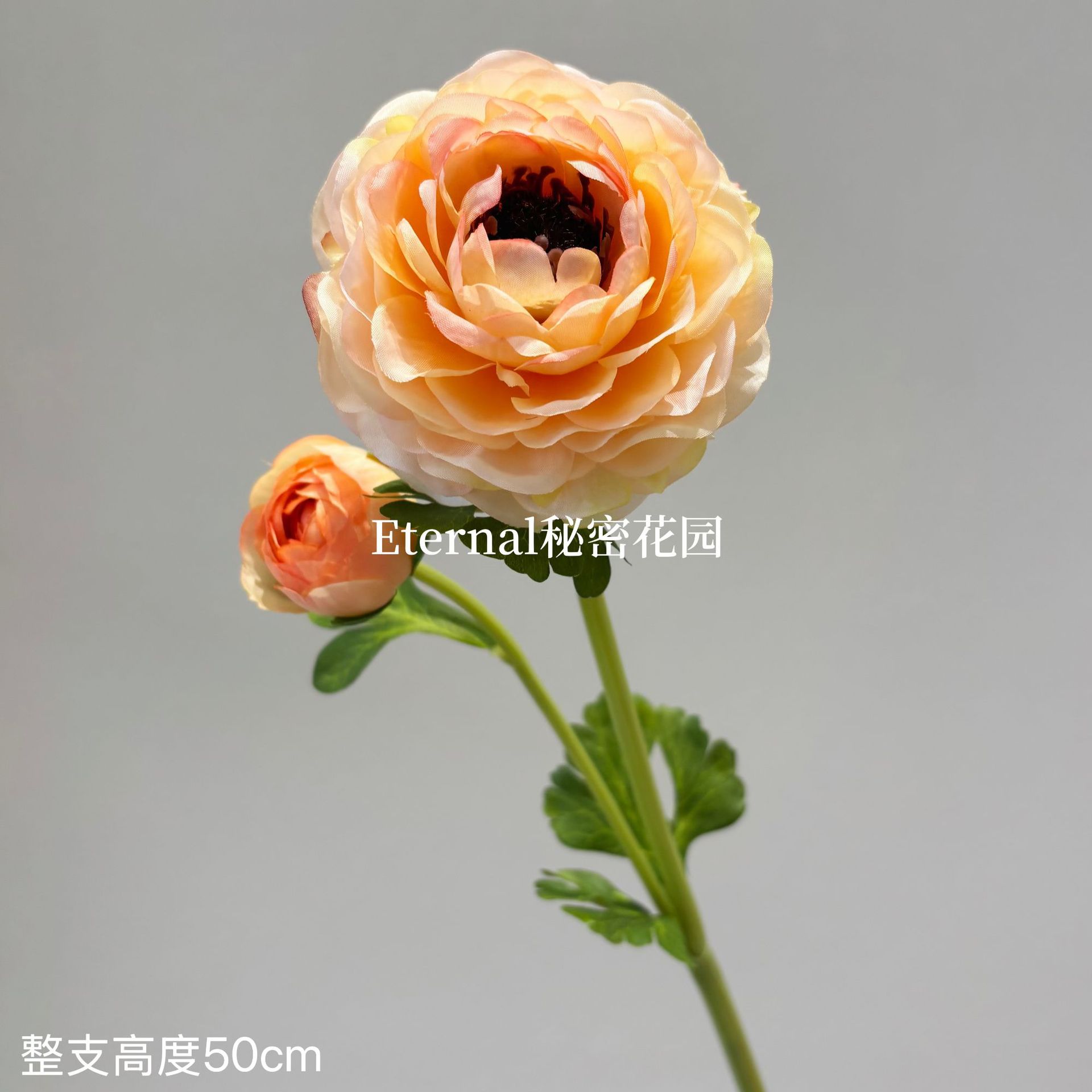 2 머리 유화 연꽃