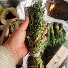 �R�Ų� ��ș�� �R�Ų� �^��� ߀ꖲ�