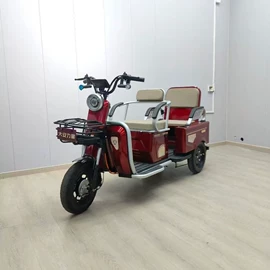 电动自行车;电动三轮车;其他电动车