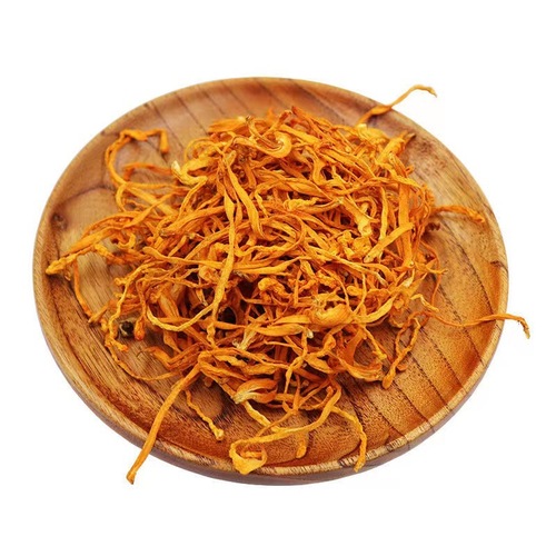Cordyceps flower bulk wholesale, dried cordyceps flower, cordyceps flower chicken soup seasoning packets, cordyceps flower arrangement, bulk cordyceps flower.