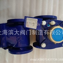 上海滨大水表大口径螺翼式法兰连接干式水表热水表LXLCR