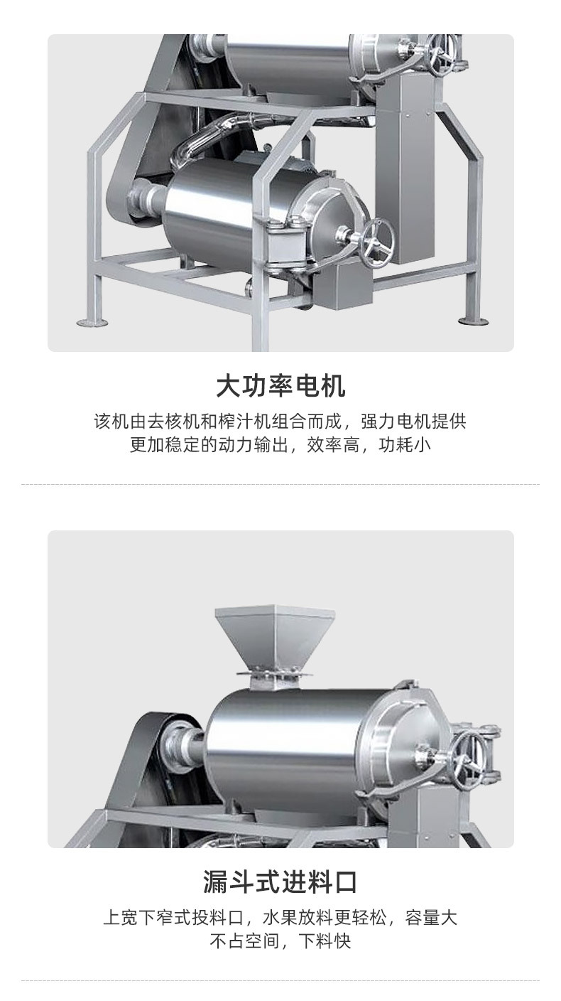 芒果打漿機(jī)_07