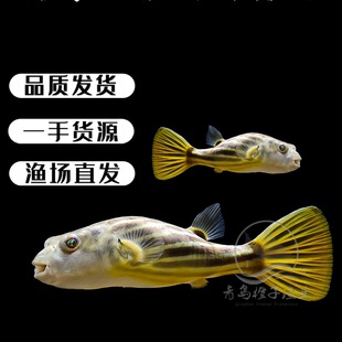 ���R���^�~�˹��~������~�Ꭷ�~��ˮͧ���w�^�p�~����W�t�~�ʹ�