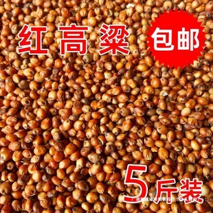 �����׼t����ȥ����Ƥ�¸���ᄾƸ���ᄴ�ι������ϼt��������