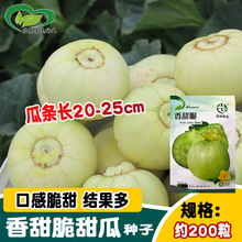 �A���������ϷN�� С���ִ�������ϷN�� �ļ��ˈ@�r���߲���