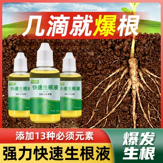 厂家快速生根液移栽扦插生根水营养液通用型强力多肉壮苗批发代发